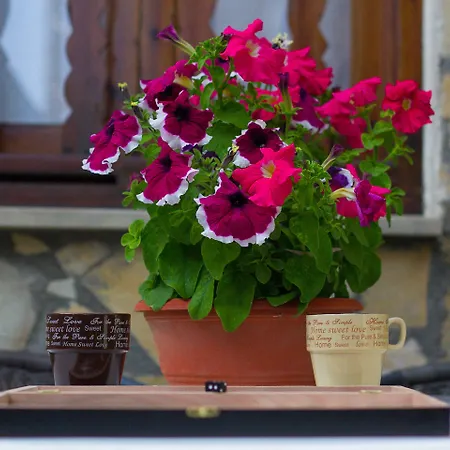 Village Сasa de vacaciones