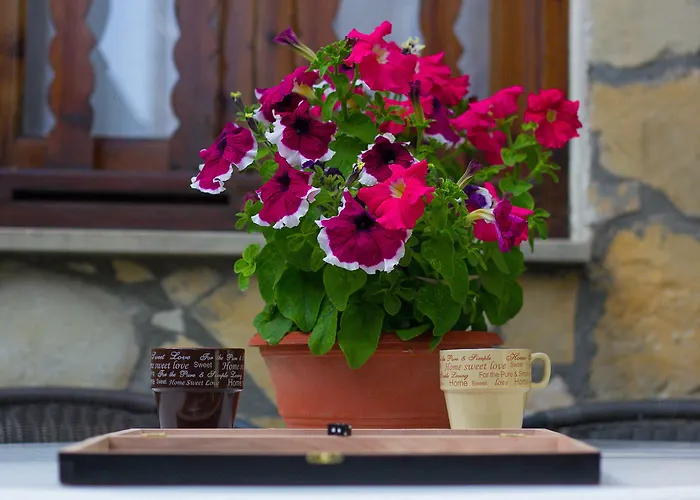 Village Dom wakacyjny