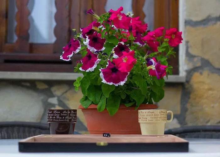 Casa vacanze Village